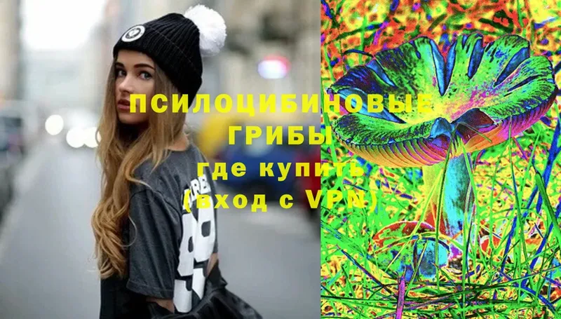 где можно купить   Мирный  Псилоцибиновые грибы Psilocybe 